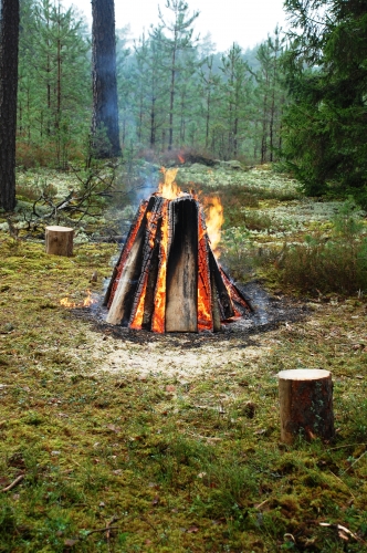 VIPi dodas līdzi UŠAKOVAM pēc Rīgas galvenās egles (FOTO) (Bilde 1)