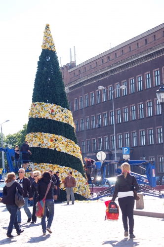 Scenogrāfs Kristaps Skulte Rātslaukumā uzstādījis egli (FOTO) (Bilde 1)