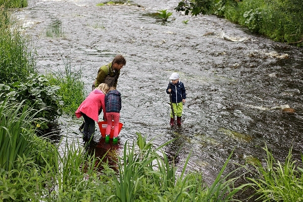 Latvijas upes kļuvušas par miljons forelēm bagātākas (Bilde 3)