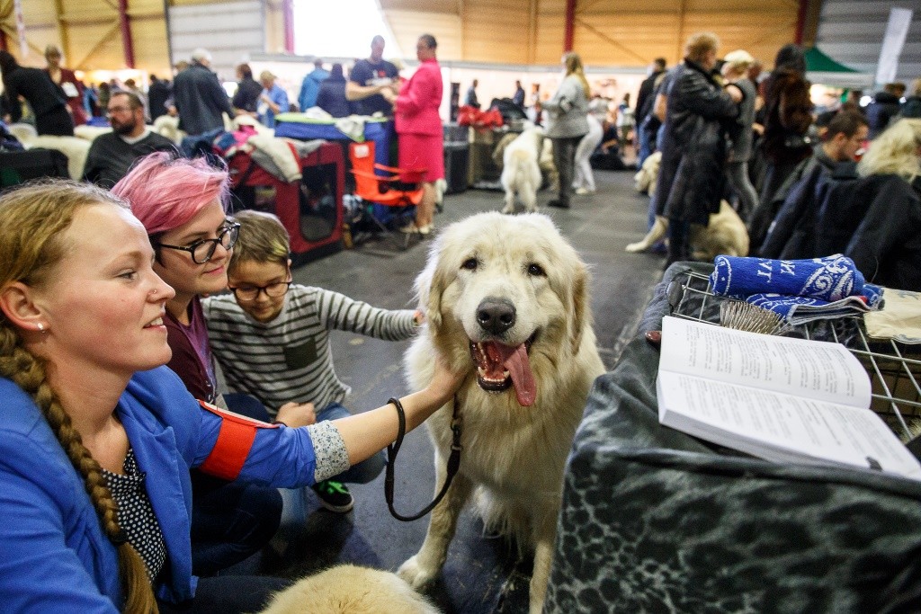 Gūsti prieku mīļdzīvnieku izstādē PetExpo 2017 (Bilde 1)