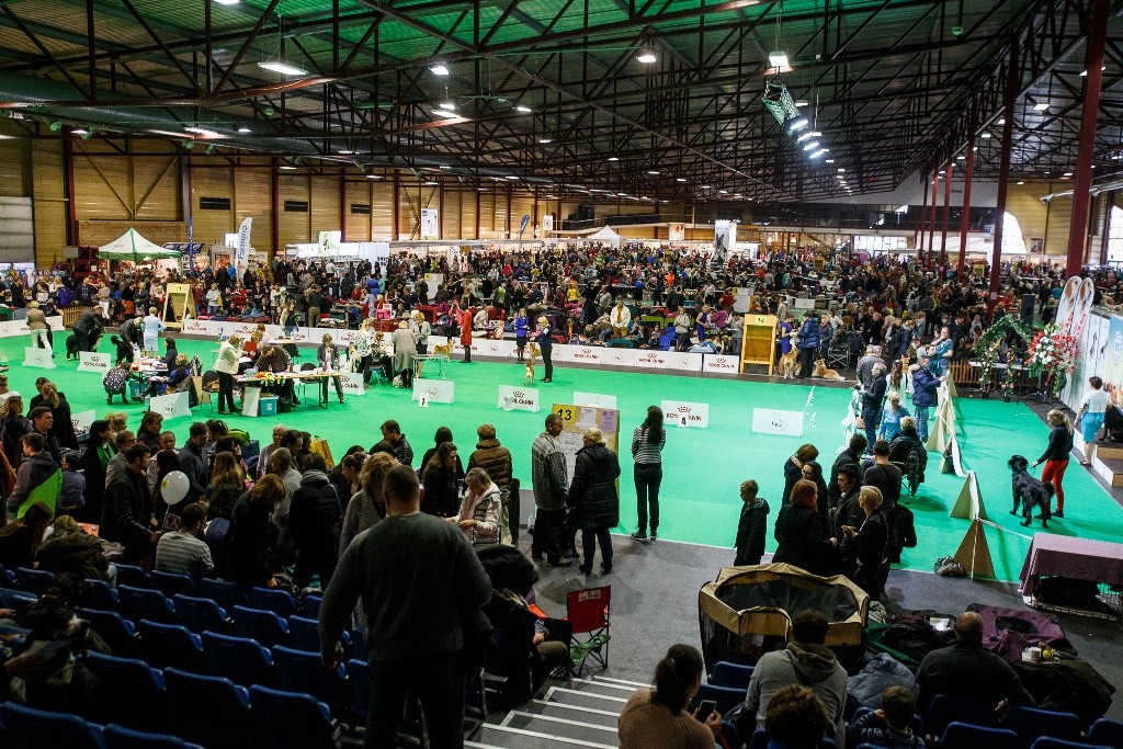 Gūsti prieku mīļdzīvnieku izstādē PetExpo 2017 (Bilde 2)