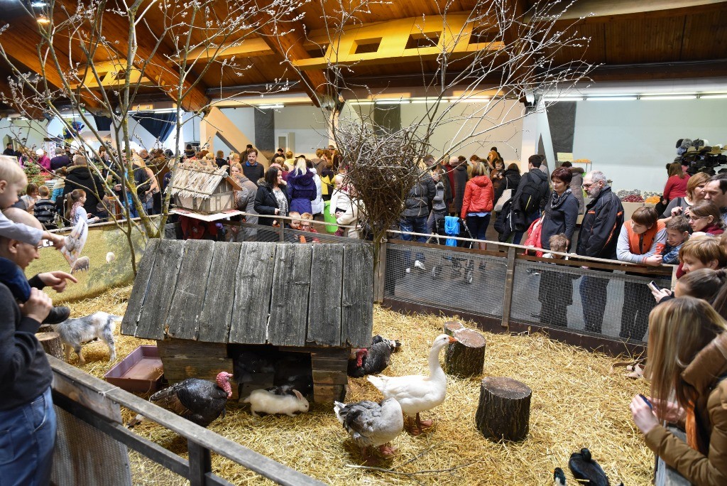 Gūsti prieku mīļdzīvnieku izstādē PetExpo 2017 (Bilde 4)