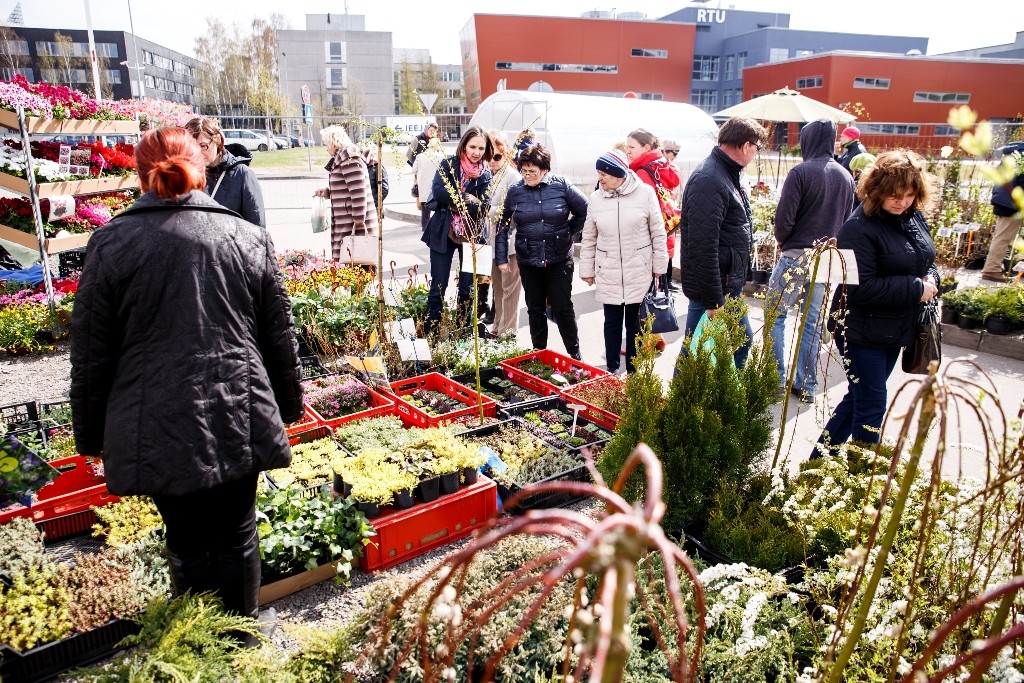 Izstādē Nature Expo Ķīpsalā – viss darbiem dārzā (Bilde 3)