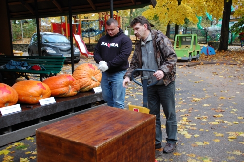 Spēkavīrs Agris Kazeļņiks paceļ smagāko Latvijas ķirbi FOTO+VIDEO (Bilde 4)